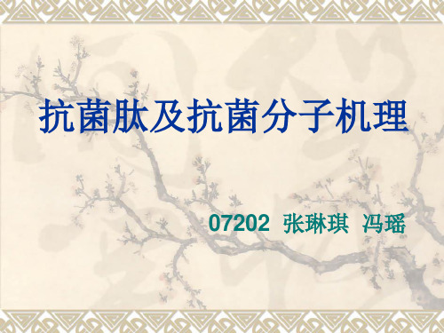抗菌肽及抗菌分子机理