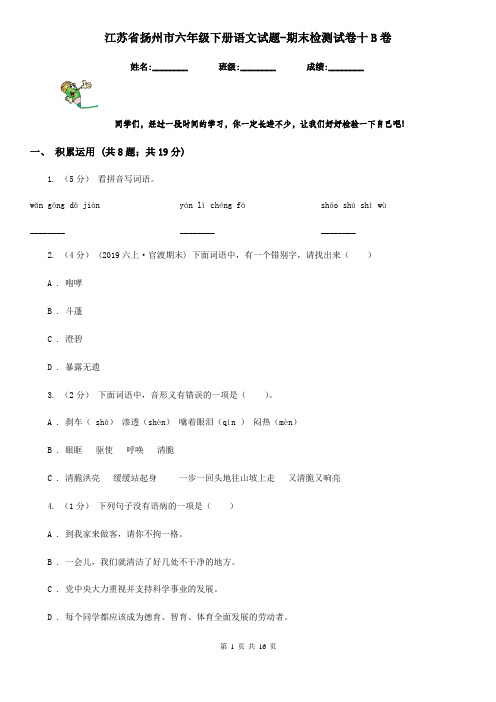 江苏省扬州市六年级下册语文试题-期末检测试卷十B卷