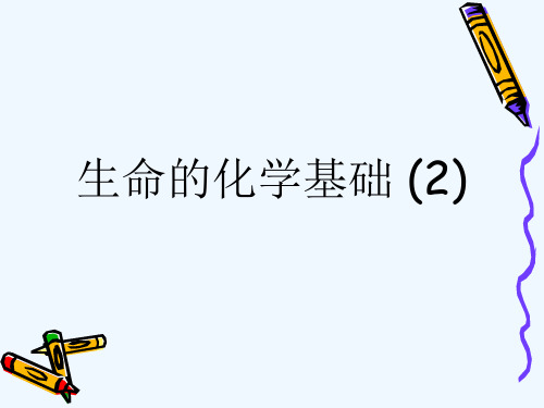生命的化学基础 (2)[可修改版ppt]