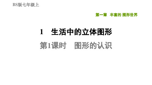 1.1.1图形的认识-北师大版七年级数学上册典中点习题课件(共29张PPT)
