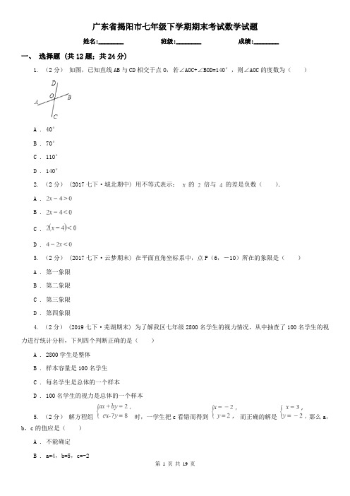 广东省揭阳市七年级下学期期末考试数学试题