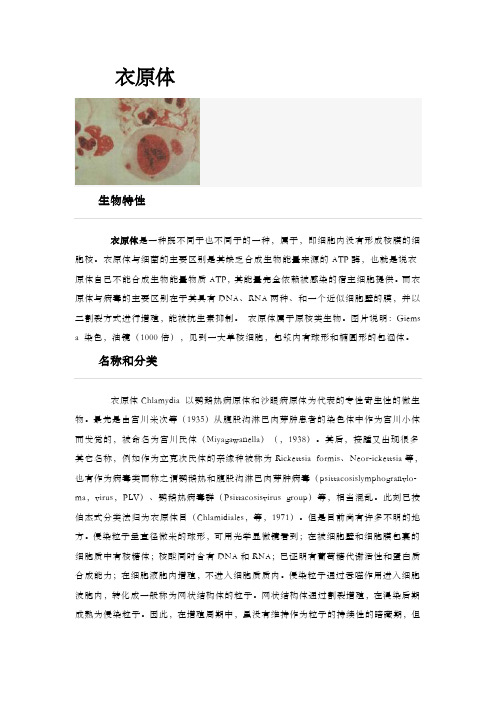 常见微生物衣原体