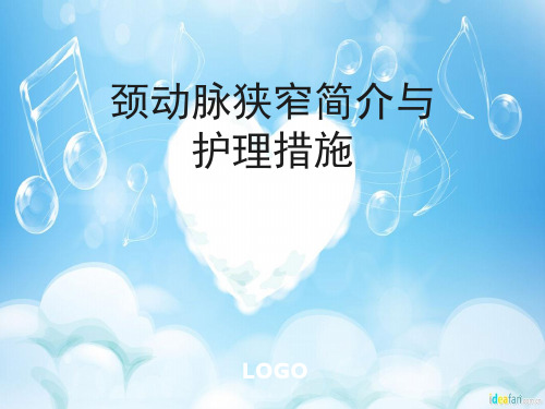 颈动脉狭窄 (2)