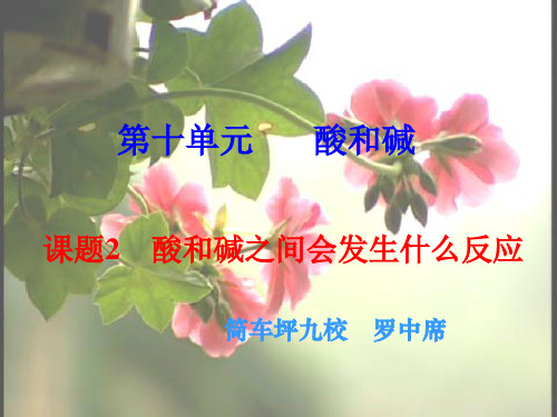 课题2酸和碱之间会发生什么反应课件化学课件PPT
