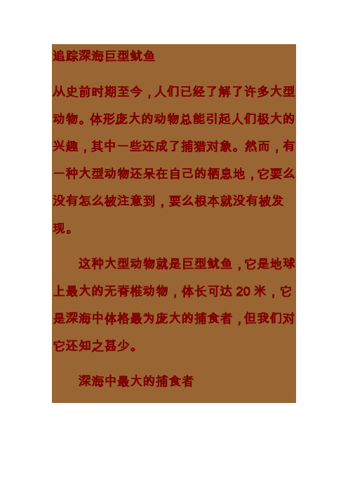 追踪深海巨型鱿鱼