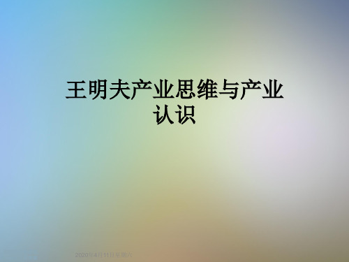 王明夫产业思维与产业认识