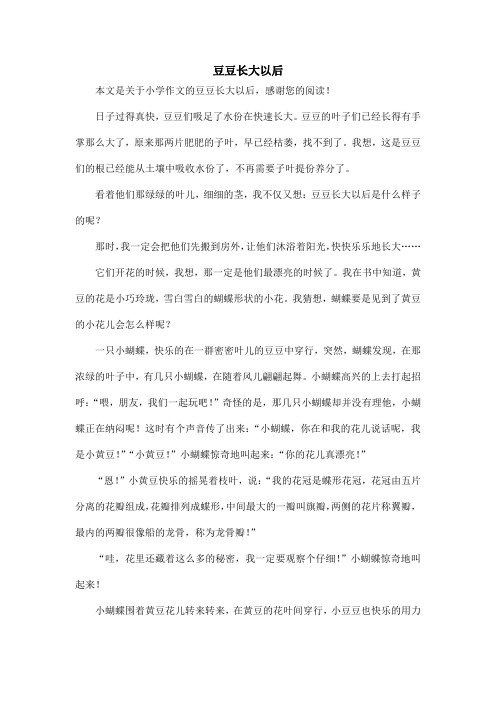 豆豆长大以后_小学作文