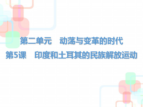 北师大版-历史-九年级下-北师大版九下课件：第5课 印度和土耳其的民族解放运动
