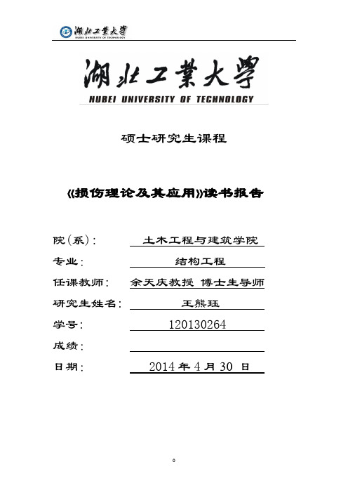 损伤理论读书报告