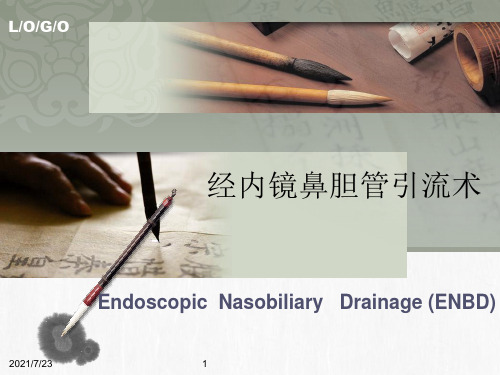 鼻胆管护理PPT课件
