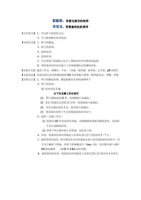 实验4和5 苜蓿愈伤组织诱导