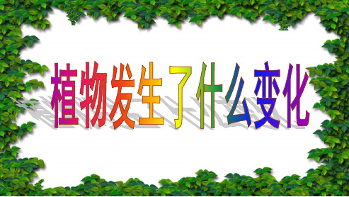 最新教科版小学三年级上册科学1.6_植_物_----_植物发生了什么变化__ppt课件