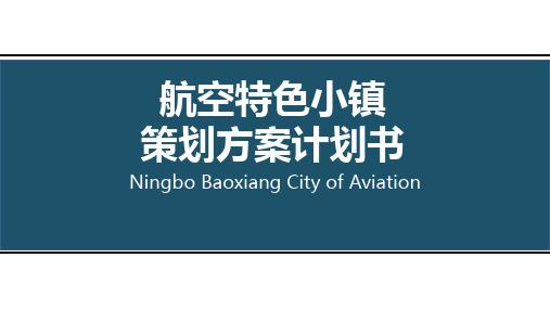 航空特色小镇策划方案计划书