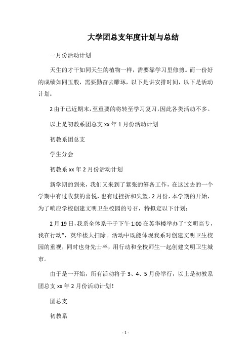 2018大学团总支年度计划与总结