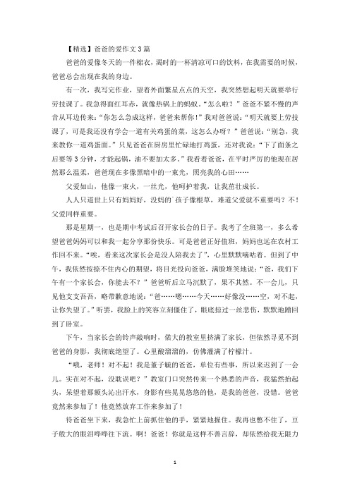 精选美文爸爸的爱作文3篇(4)