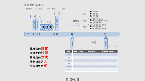 平安金瑞人生保险讲解养老金模板PPT课件