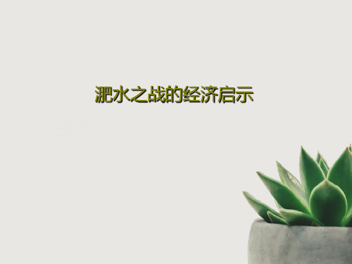 淝水之战的经济启示17页文档