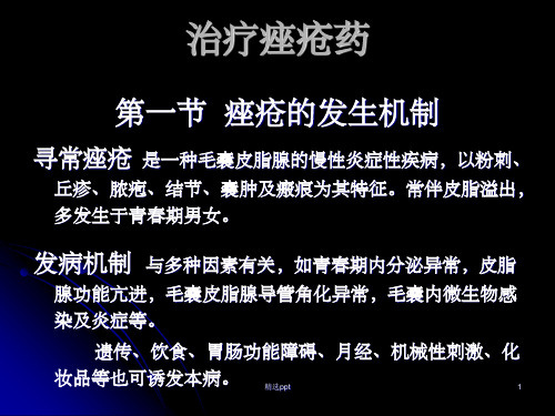 《治疗痤疮药》PPT课件