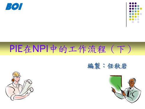 PIE在NPI中的工作流程(下)