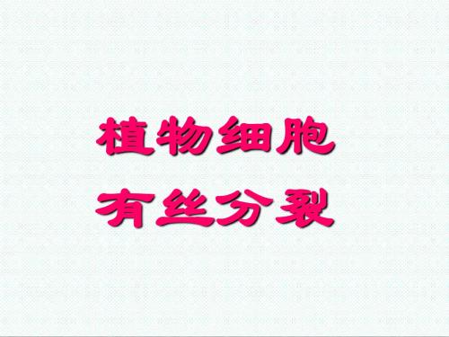 高中生物课件-山东版高中生物必修1第一节《细胞的增殖
