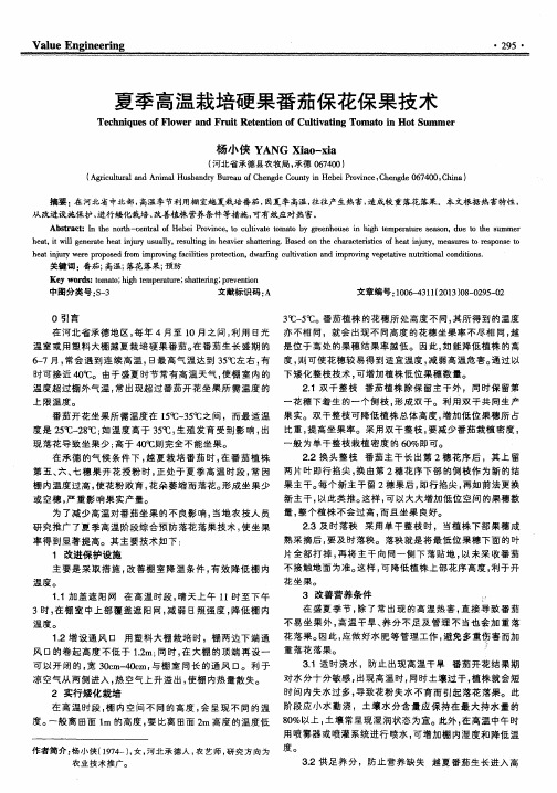 夏季高温栽培硬果番茄保花保果技术