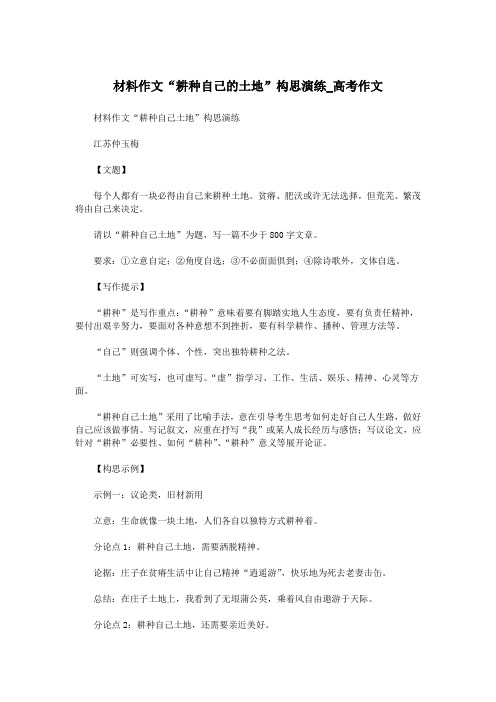 材料作文“耕种自己的土地”构思演练_高考作文.doc