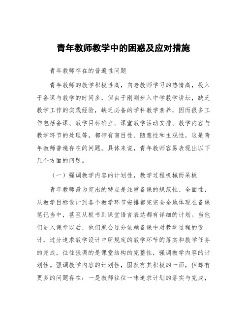 青年教师教学中的困惑及应对措施