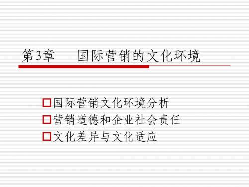第3章国际营销的文化环境