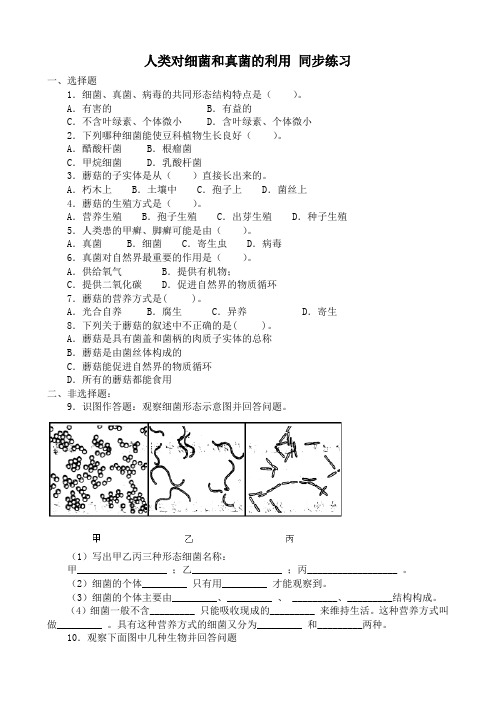 新人教版八年级生物上册人类对细菌和真菌的利用 同步练习2