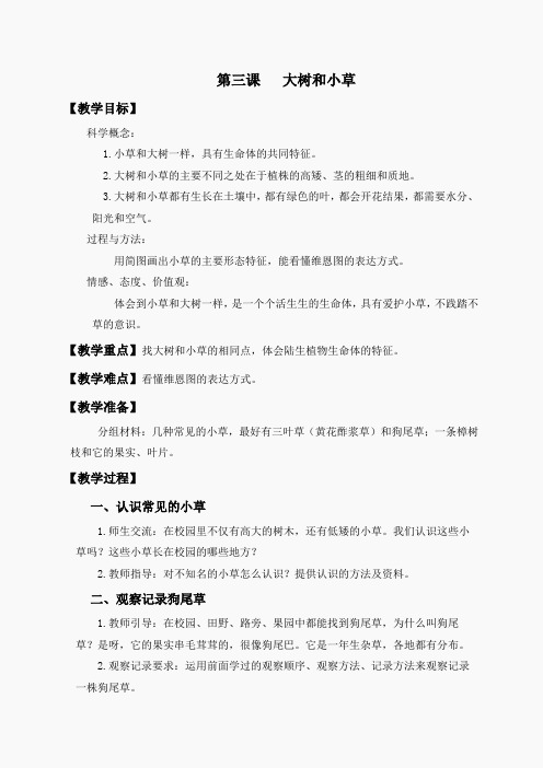 教科小学科学三上《1.3、大树和小草》word教案