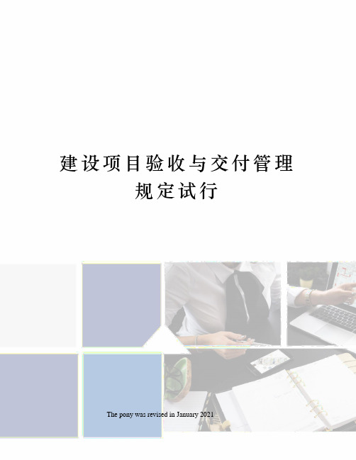 建设项目验收与交付管理规定试行