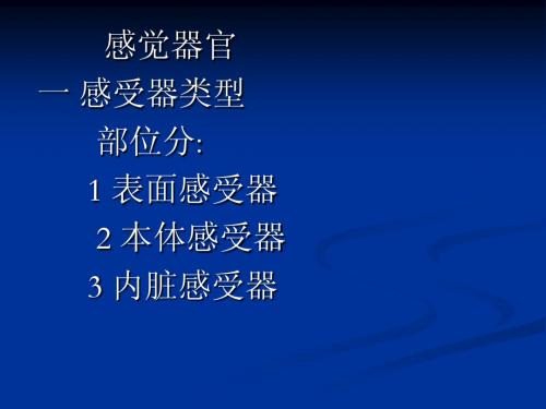 解剖学第六课-感官