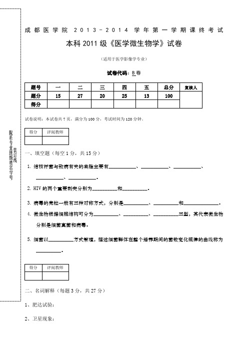 成都医学院级医学影像本科微生物学试卷B