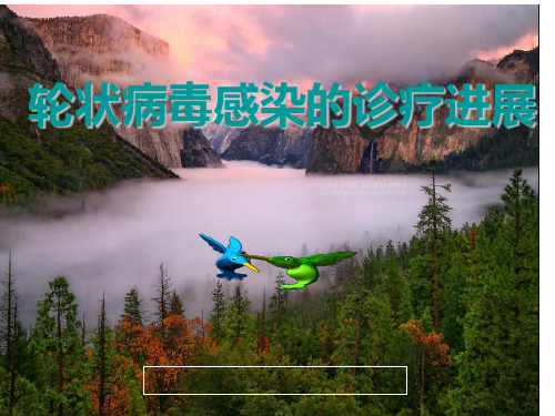 轮状病毒性肠炎PPT课件