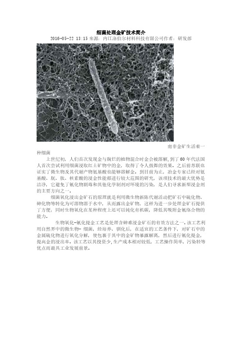 细菌处理金矿技术简介