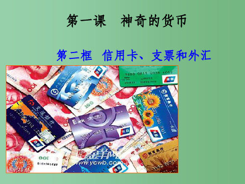 高中政治 第一课 信用卡支票外汇课件1 新人教版必修1