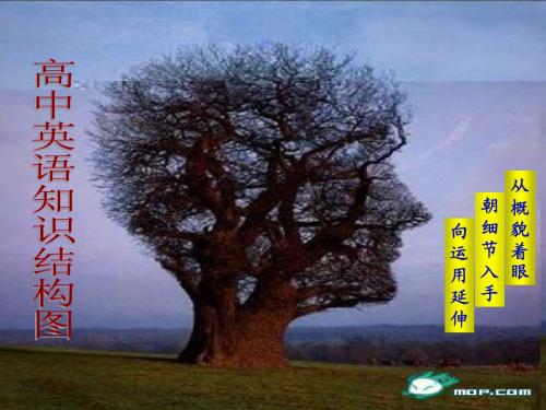 1.高中英语语法结构图