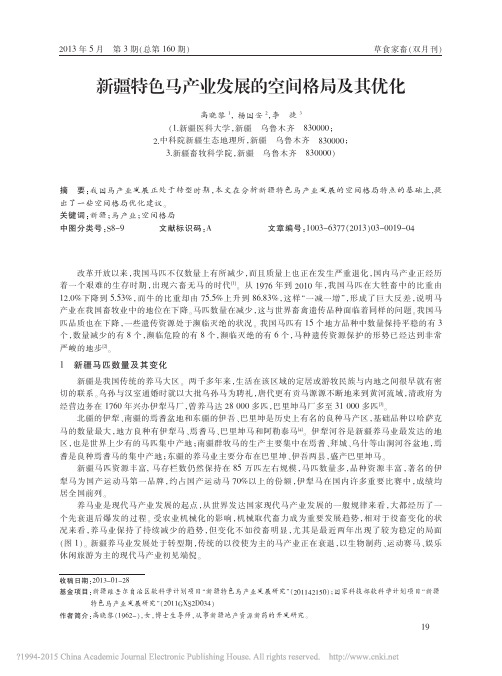 新疆特色马产业发展的空间格局及其优化_高晓黎