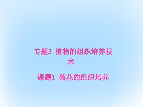高中生物专题3植物的组织培养技术课题1菊花的组织培养课件新人教版选修1