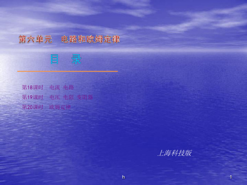 2010年中考物理专题复习课件(2)