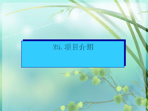 高中英语书面表达21.项目介绍 PPT课件 图文