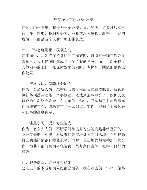 年度个人工作总结 公安