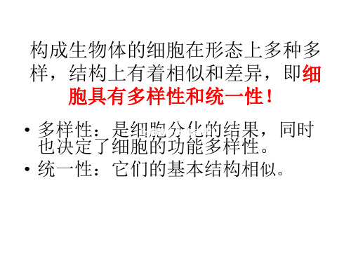 高一生物细胞的多样性和统一性