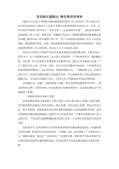 宝剑锋从磨砺出 梅花香自苦寒来