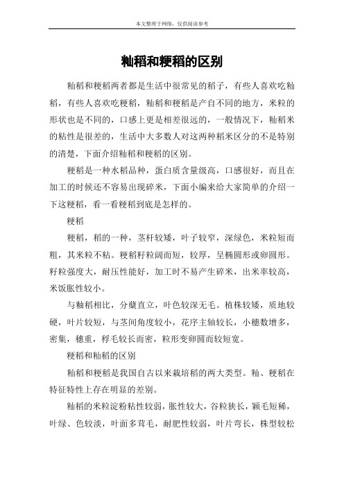 籼稻和粳稻的区别