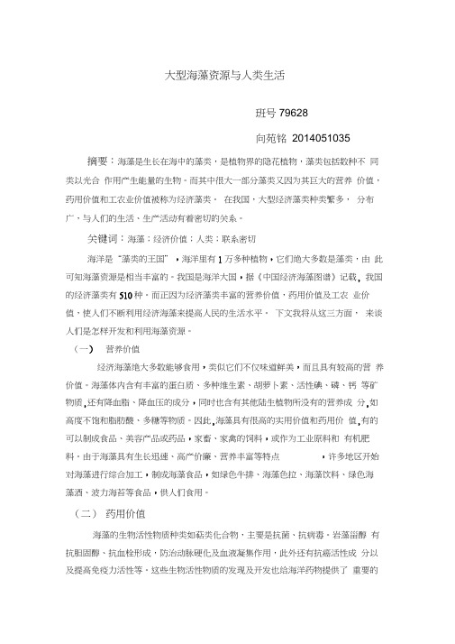 大型海藻资源与人类生活