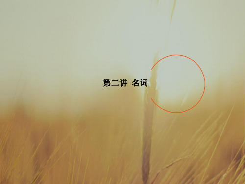 2018版高考英语一轮复习课件：语法：第二讲 名词 精品
