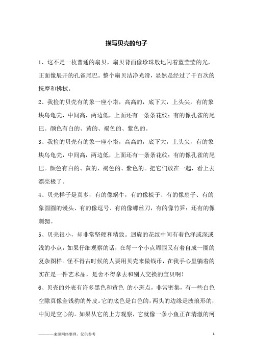 描写贝壳的句子