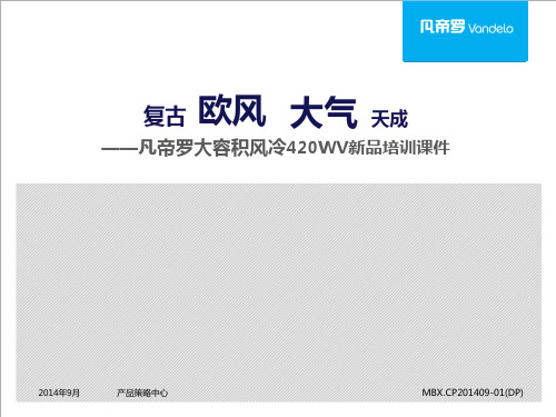 复古欧风  大气天成 420WV导购版培训课件