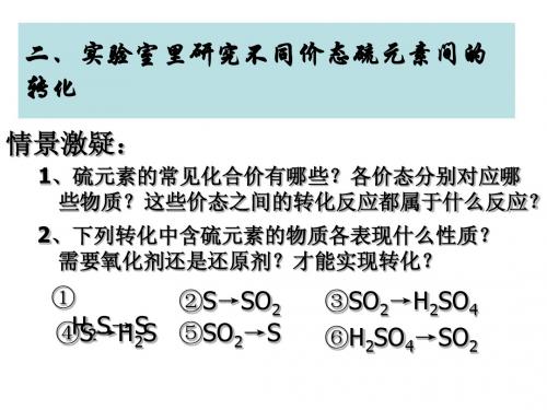 硫的转化-2